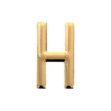 Metal Charm - H